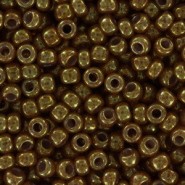 Miyuki seed beads 11/0 - Ceylon translucent spice 11-2372